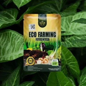 Jual Pupuk Eco Farming Termurah Di Surabaya