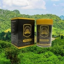 Distributor Pupuk Eco Farming Terdekat Di Malang