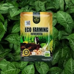 Distributor Pupuk Eco Farming Terdekat Di Surabaya